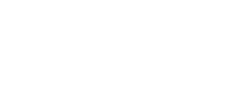 Artmis